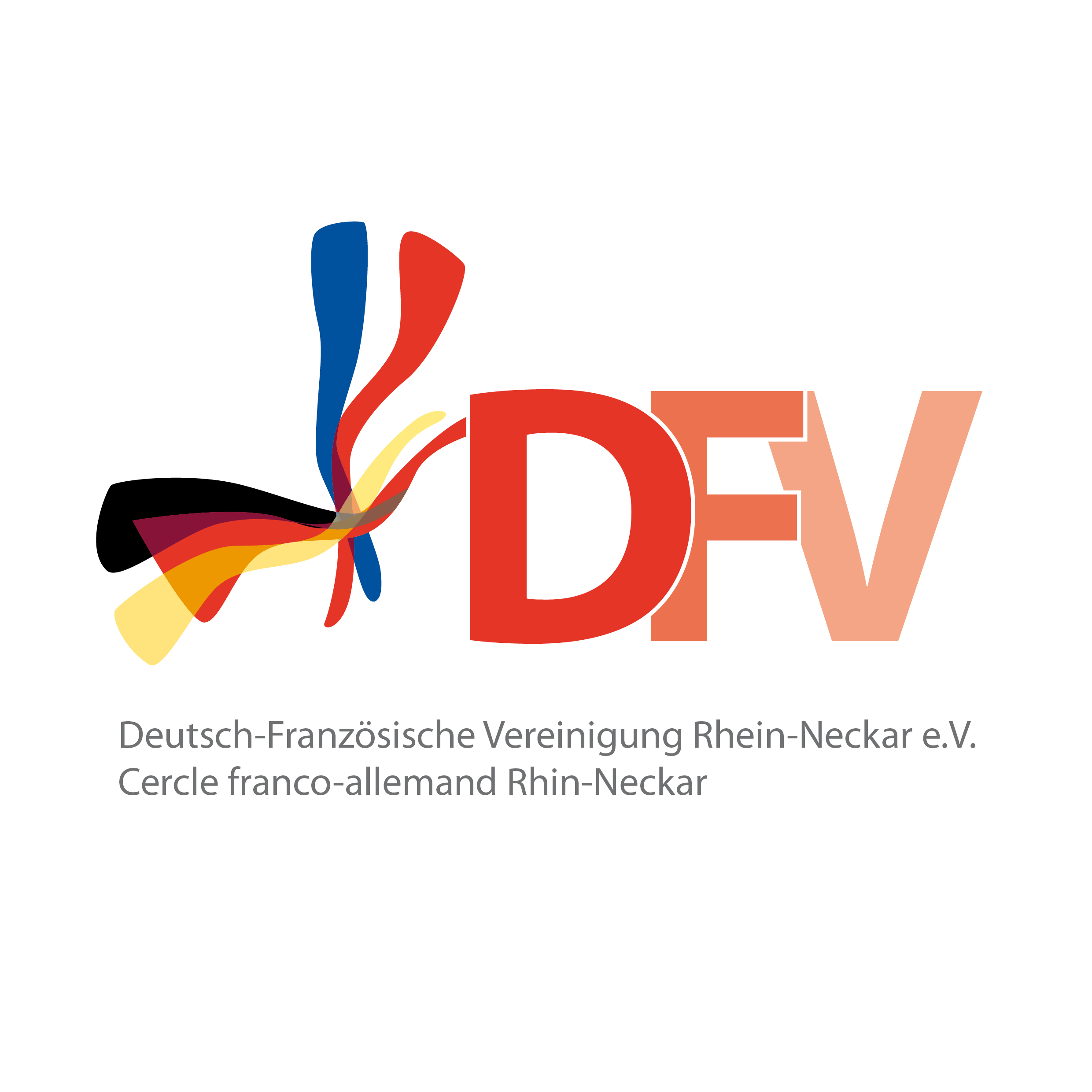 logo dfv 2018