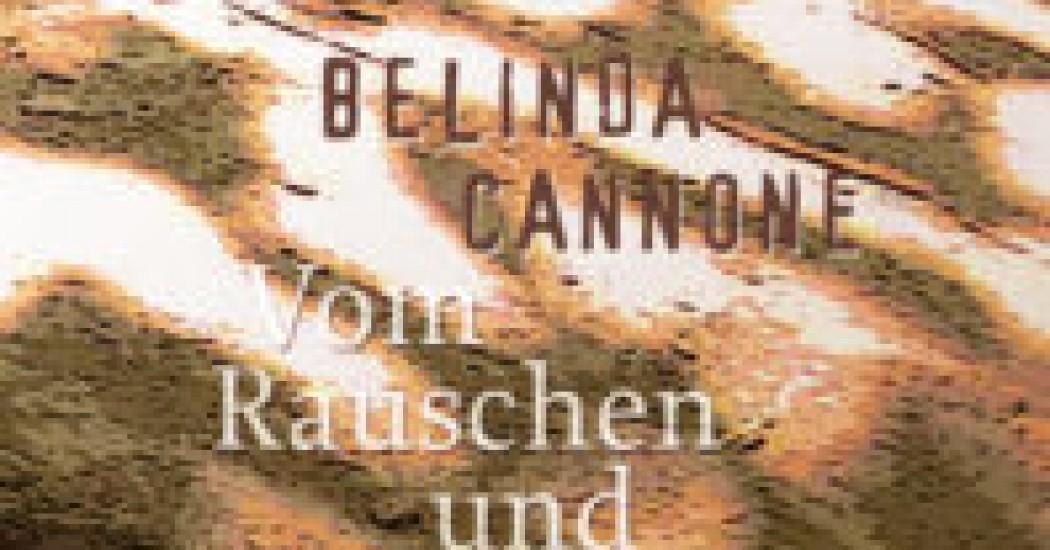 Vom Rauschen und Rumoren der Welt Vom Rauschen und Rumoren der Welt