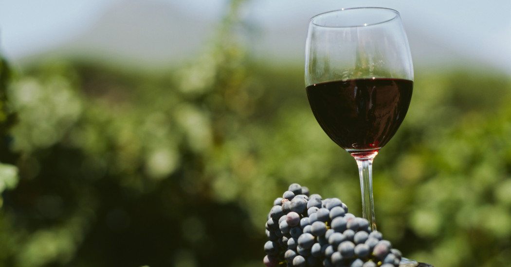 Salon de vins - Weine aus Montpellier Méditerranée Métropole Salon de vins - Weine aus Montpellier Méditerranée Métropole