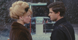 Deneuve-Filmreihe: Les parapluies de Cherbourg - Die Regenschirme von Cherbourg
